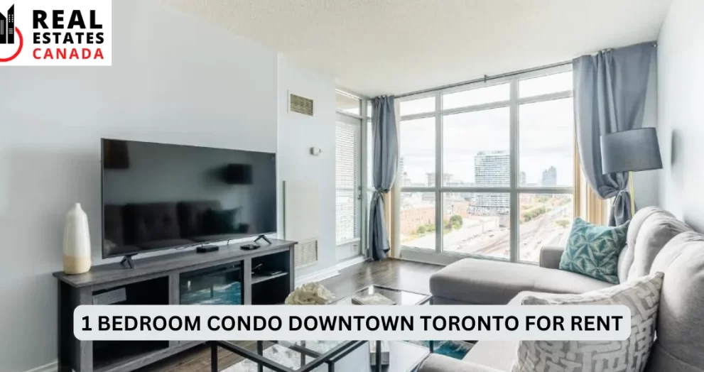 1 bedroom condo downtown toronto for rent