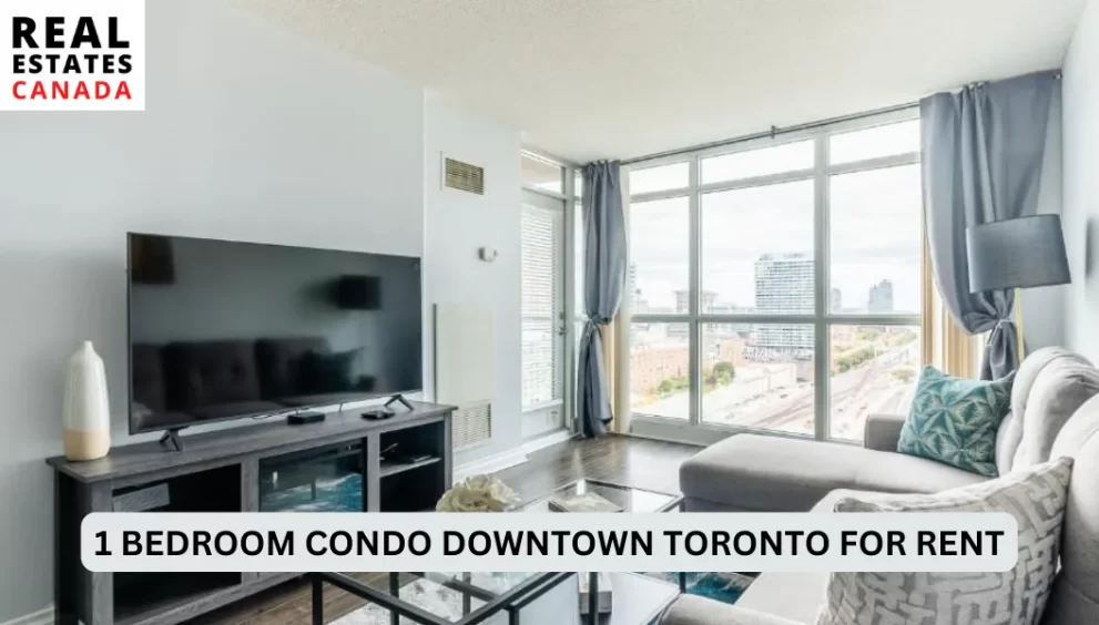 1 bedroom condo downtown toronto for rent