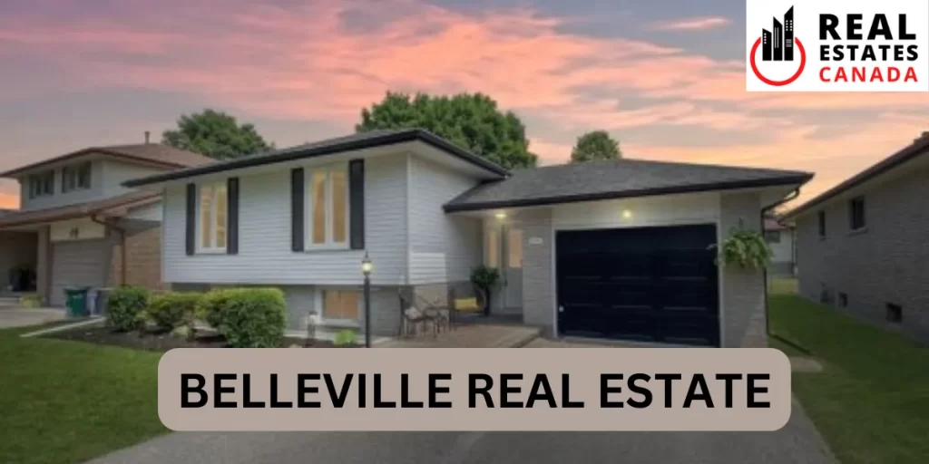 belleville real estate