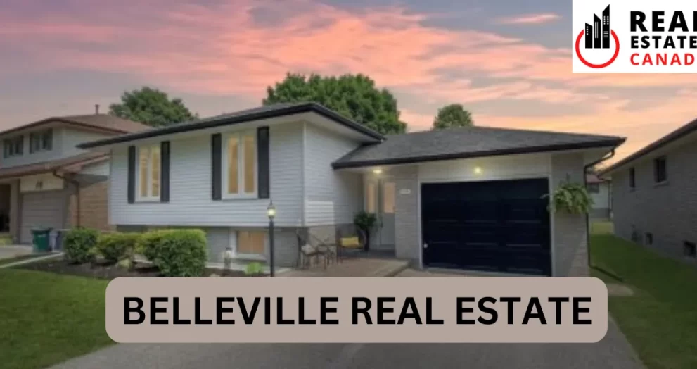 belleville real estate