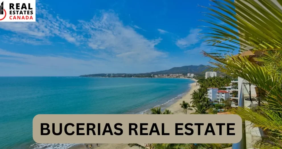 bucerias real estate