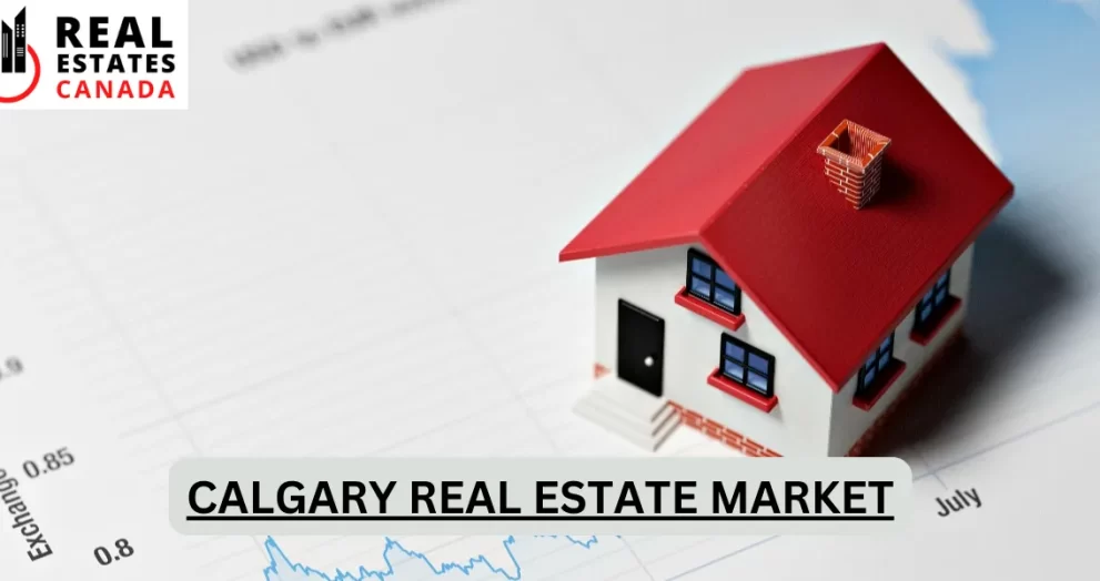 calgary real estate market