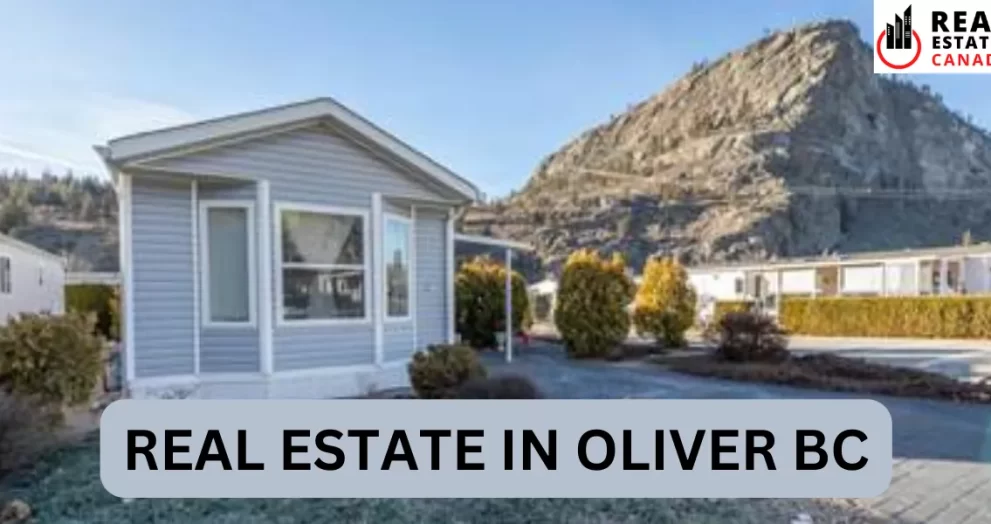 real estate in oliver bc