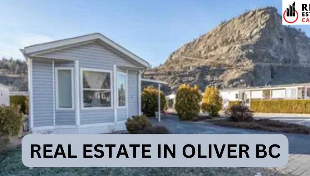 real estate in oliver bc