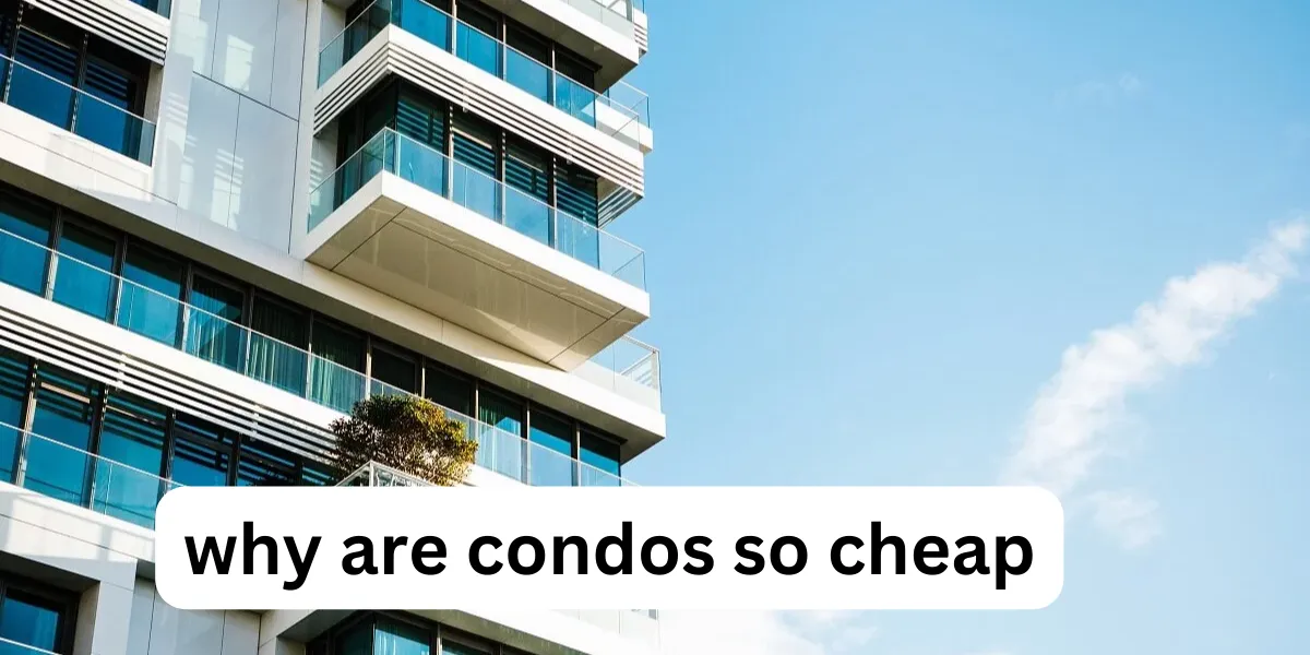 why are condos so cheap