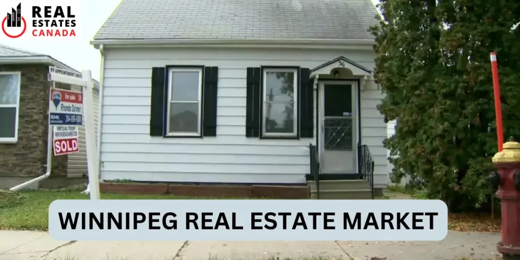 winnipeg real estate market