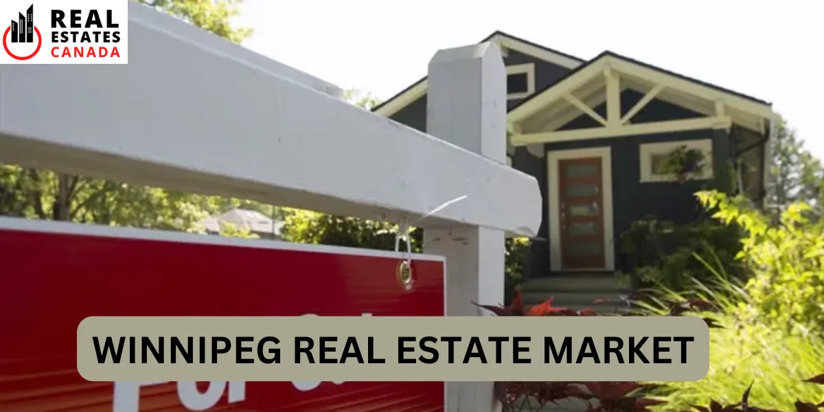 winnipeg real estate market