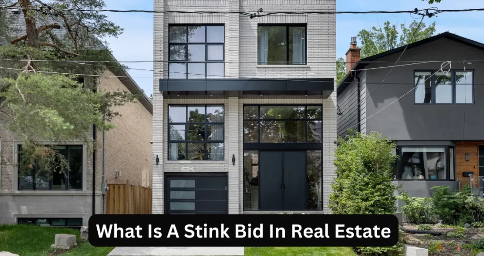 What Is A Stink Bid In Real Estate