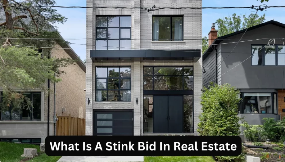 What Is A Stink Bid In Real Estate
