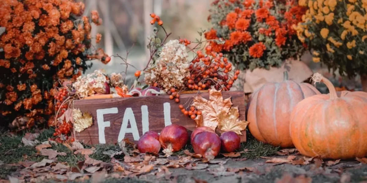 Decorate your home with ease this fall