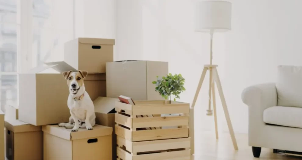 6 Tips For A Seamless Moving Day