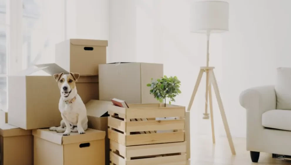 6 Tips For A Seamless Moving Day