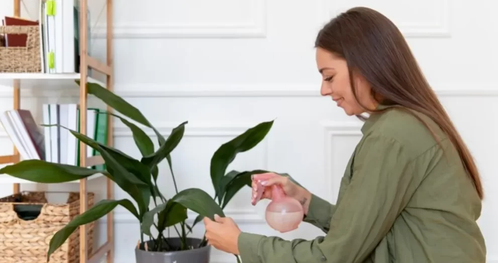 How To Keep Your Plants Happy And Healthy This Winter