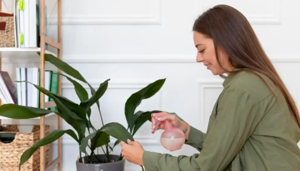 How To Keep Your Plants Happy And Healthy This Winter