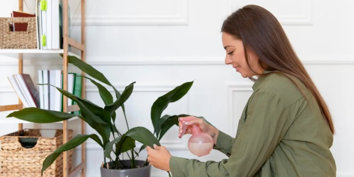 How To Keep Your Plants Happy And Healthy This Winter