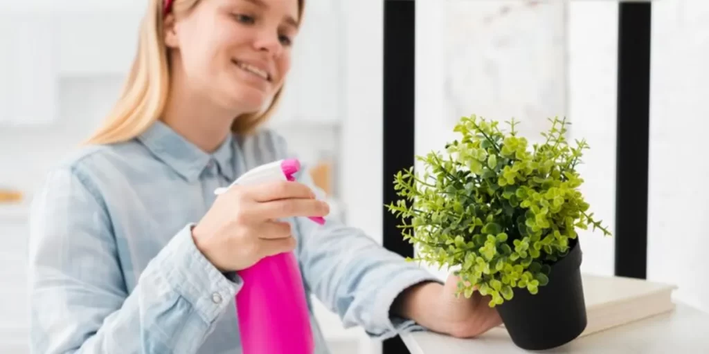 Spring Cleaning: Freshen Up, Reduce Allergies