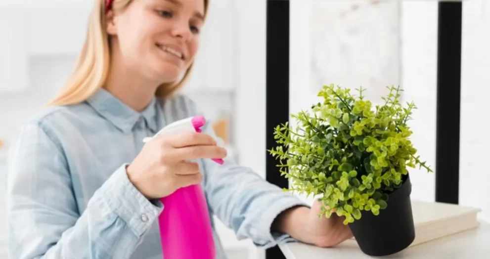 Spring Cleaning: Freshen Up, Reduce Allergies