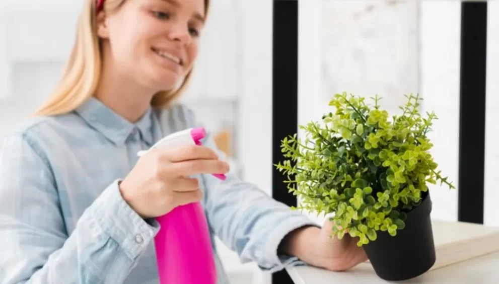 Spring Cleaning: Freshen Up, Reduce Allergies